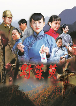 野茱萸封面图