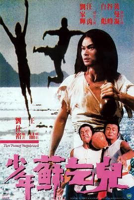 少年苏乞儿（粤语版）封面图