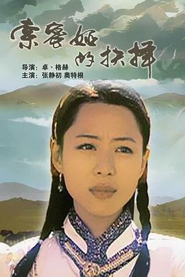 索密娅的抉择封面图