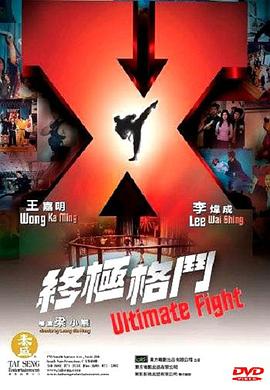 终极格斗（国语版）封面图