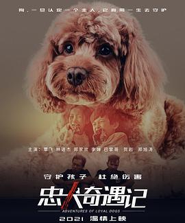 忠犬奇遇记封面图