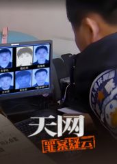 天网：罪案疑云