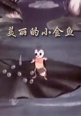 美丽的小金鱼封面图