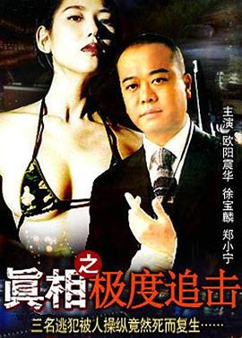 真相之极度追击封面图