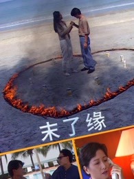 末了缘封面图