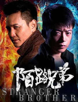 陌路兄弟封面图