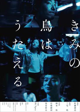 你的鸟儿会唱歌封面图
