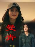 曼青封面图