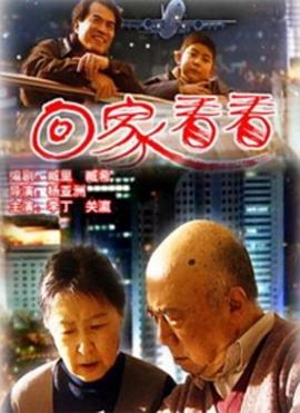 回家看看封面图