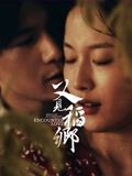 又见稻乡封面图
