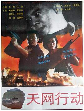 天网行动封面图