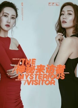 神秘来访者封面图