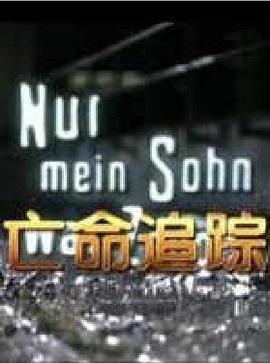 亡命追踪（国语版）封面图