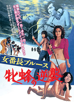 女番长布鲁斯：雌蜂的逆袭封面图
