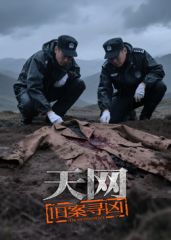 天网：旧案寻凶
