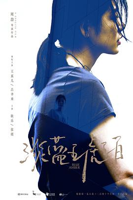 淡蓝琥珀（无障碍解说版）封面图