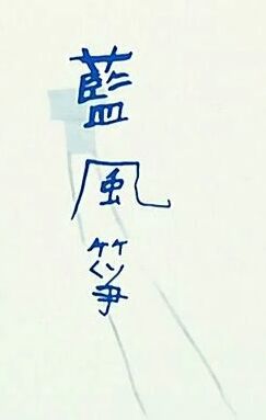 蓝风筝封面图