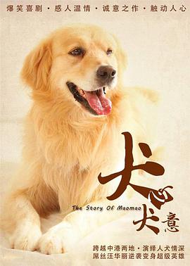 犬心犬意封面图