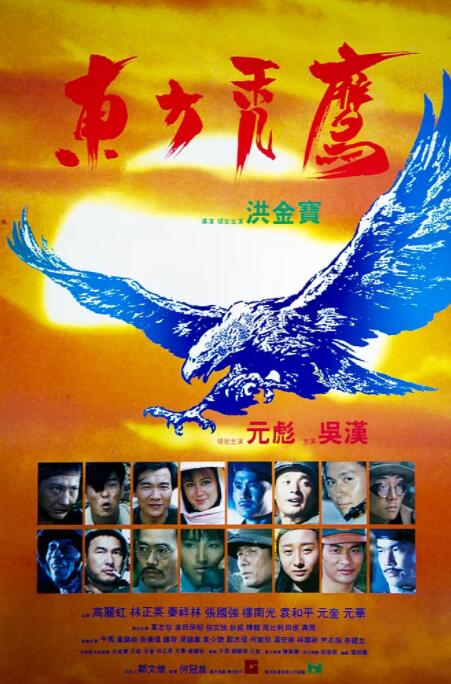 东方秃鹰 封面图