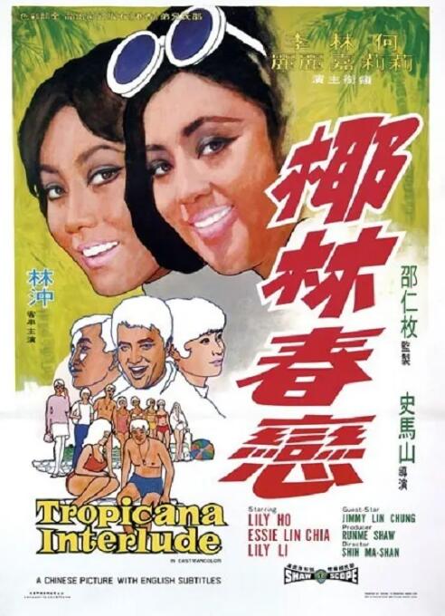 椰林春恋封面图