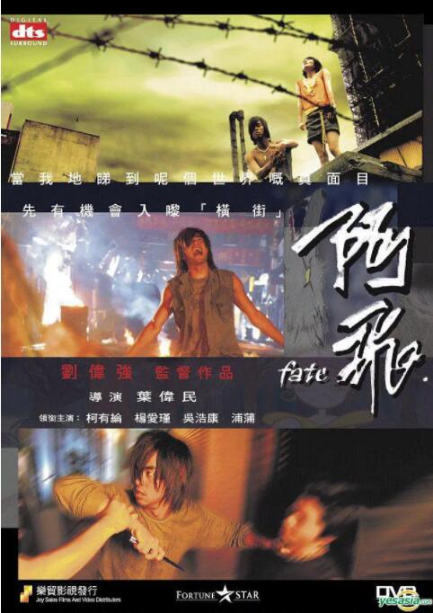 阿飞封面图