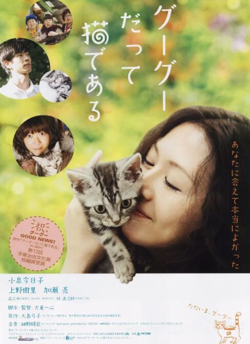 咕咕是一只猫封面图