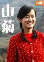 山菊封面图