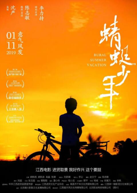 蜻蜓少年封面图