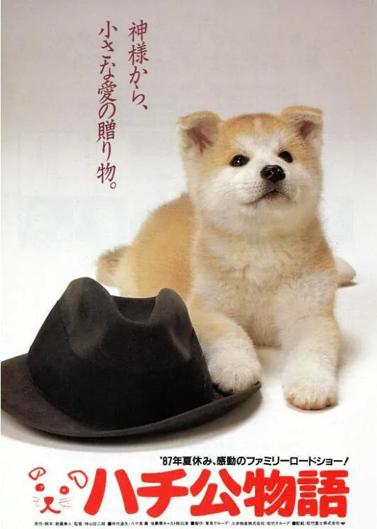 忠犬八公物语封面图