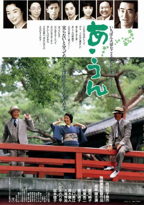 情义知多少封面图