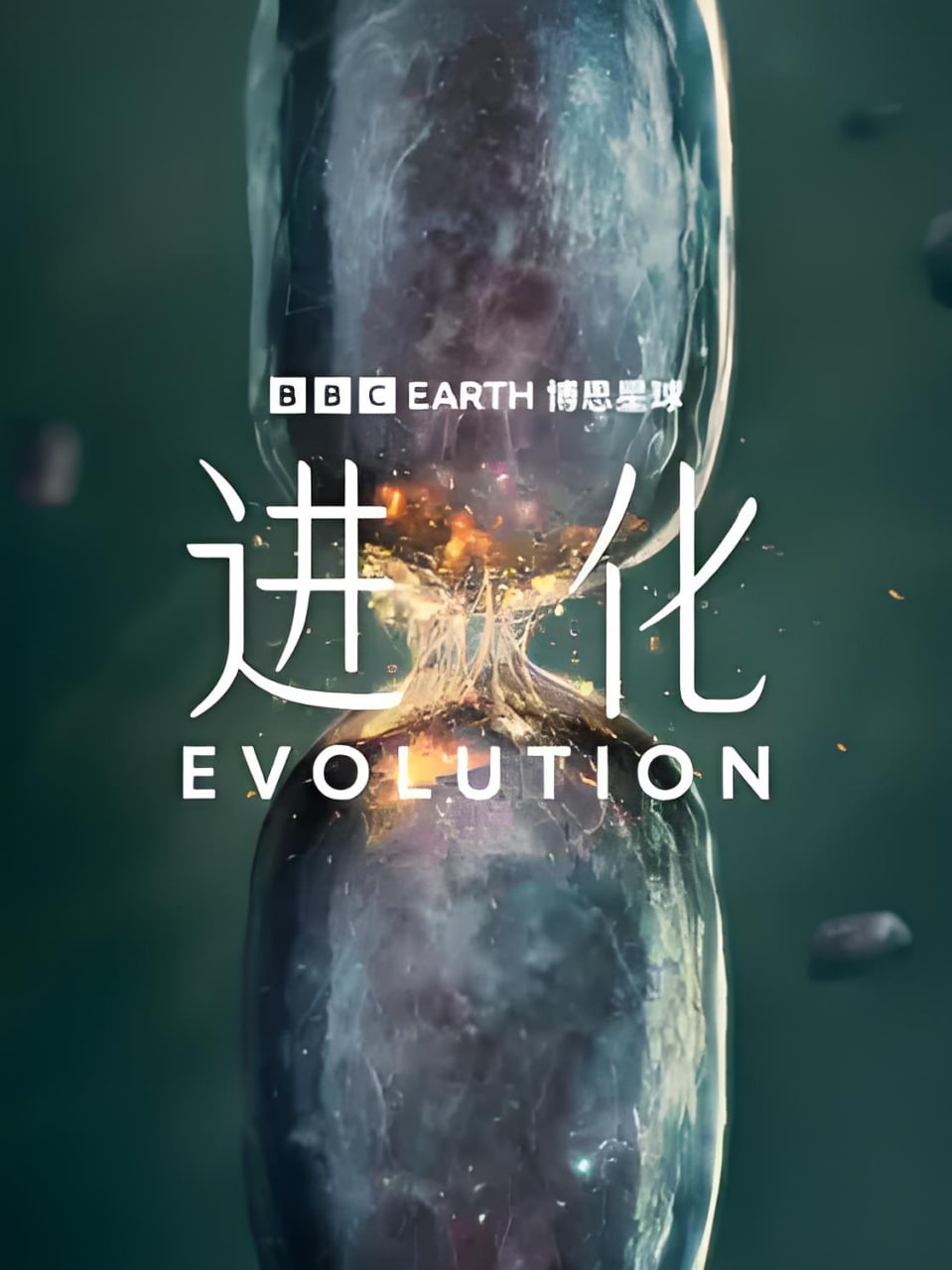 进化(中配版)