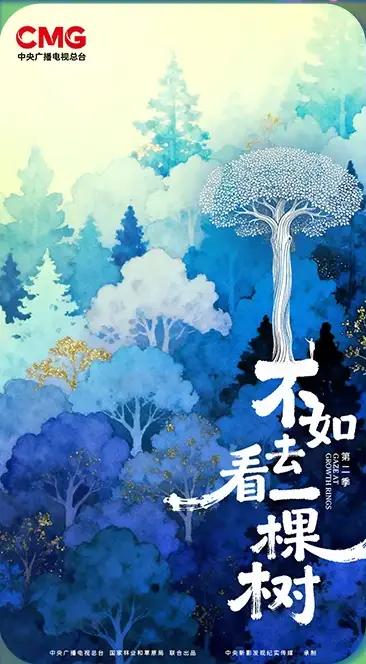 不如去看一棵树 第二季封面图